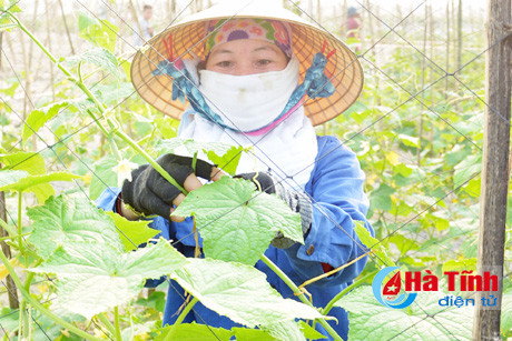 cam on nguoi lao dong