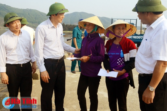 ...và các hộ nuôi ngao ở Kỳ Hà.