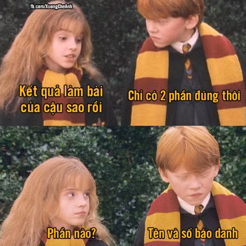 Chỉ 2 phần đúng: Tên và số báo danh ảnh 7