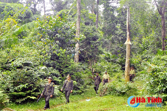 cong bo ke hoach hanh dong redd tinh ha tinh giai doan 2016 2020