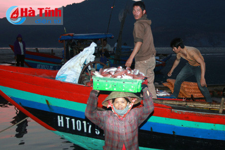 dong hanh tieu thu hai san cho ngu dan