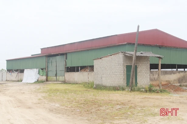 “Đất vàng” Thạch Hưng… thành nơi đổ rác!