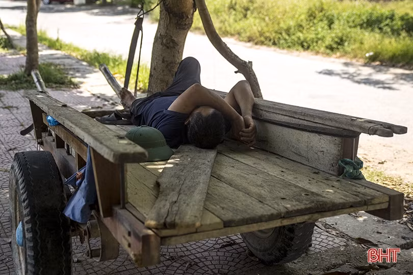 Những giấc trưa vội vã...