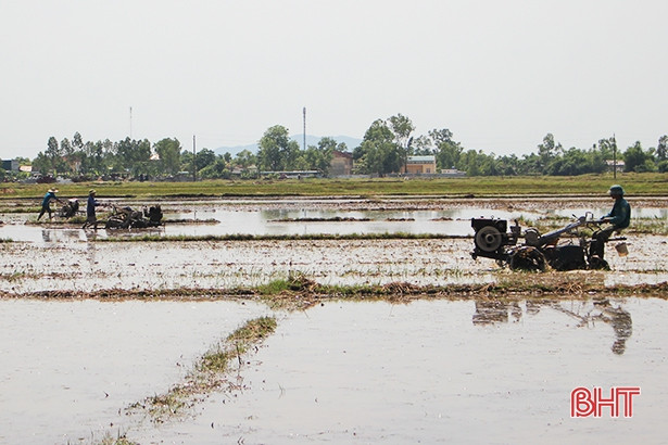 Nông dân Can Lộc ra đồng làm đất, sản xuất lúa hè thu