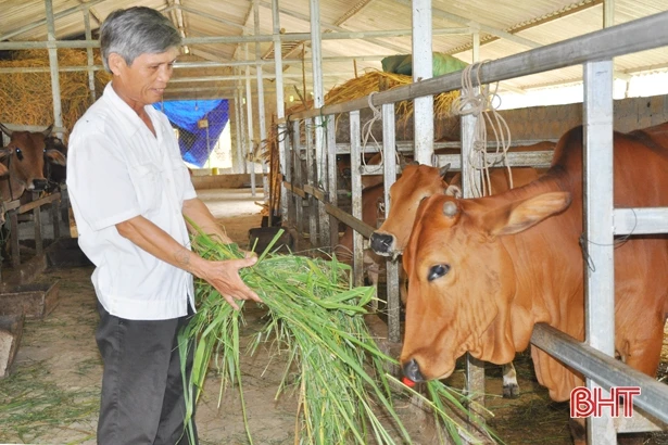 Hệ thống ngân hàng Hà Tĩnh huy động 44.742 tỷ đồng, dư nợ 39.824 tỷ đồng