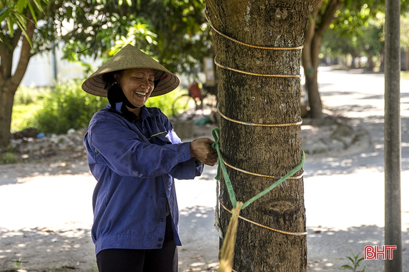 Những giấc trưa vội vã...