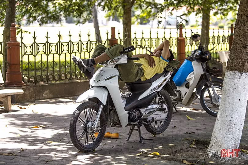 Những giấc trưa vội vã...