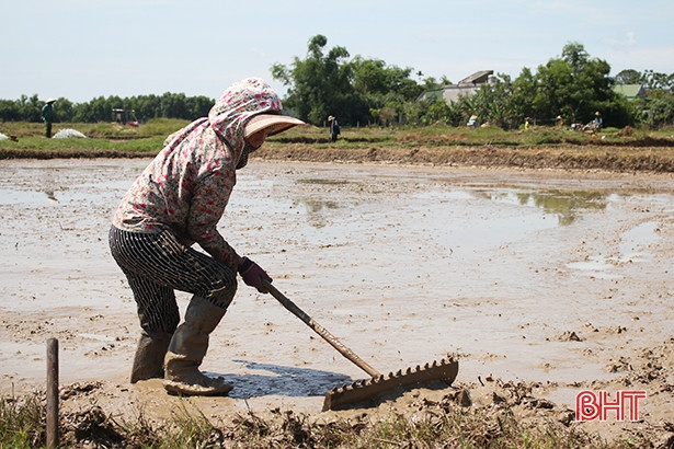 Nông dân Can Lộc ra đồng làm đất, sản xuất lúa hè thu