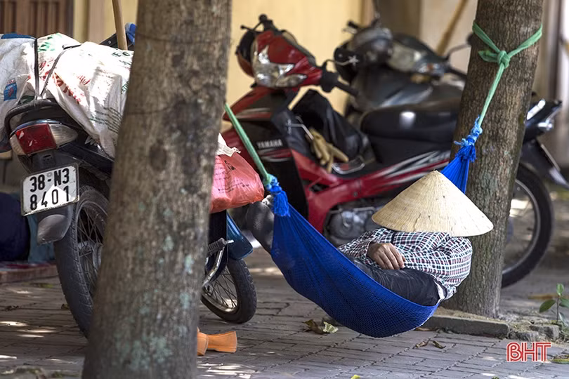 Những giấc trưa vội vã...