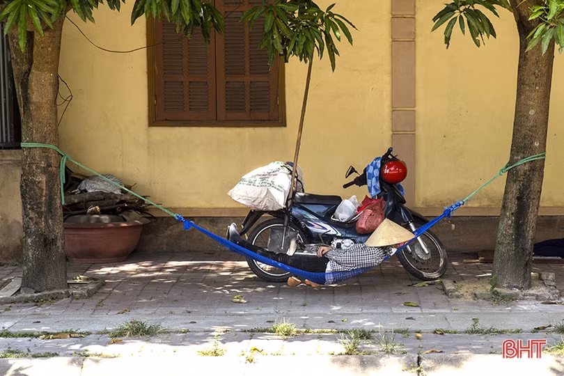 Những giấc trưa vội vã...