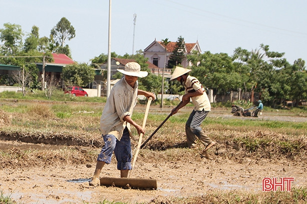 Nông dân Can Lộc ra đồng làm đất, sản xuất lúa hè thu