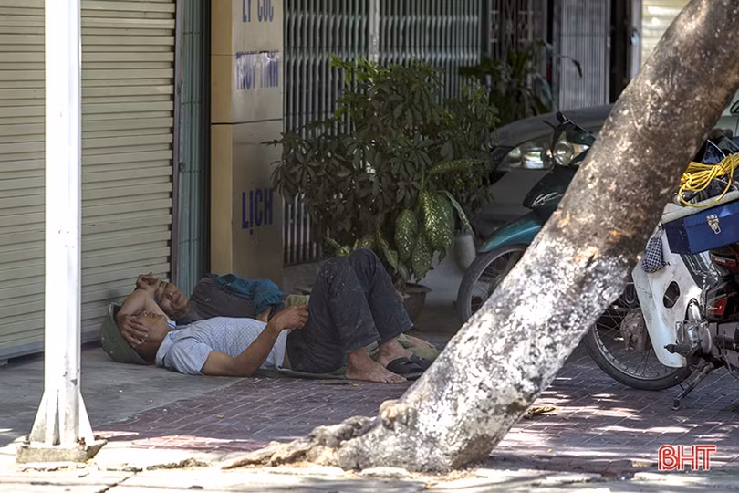 Những giấc trưa vội vã...