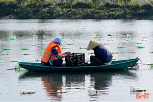 Thống nhất nghiệm thu dự án chọn con giống và nuôi trai nước ngọt lấy ngọc 
