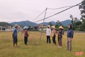 Nhiều hộ dân Tùng Lộc "khát" điện lưới 