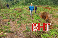 Cấm đường, sơ tán dân khi xuất hiện vết nứt dài 150m trên đồi ở Hà Tĩnh 