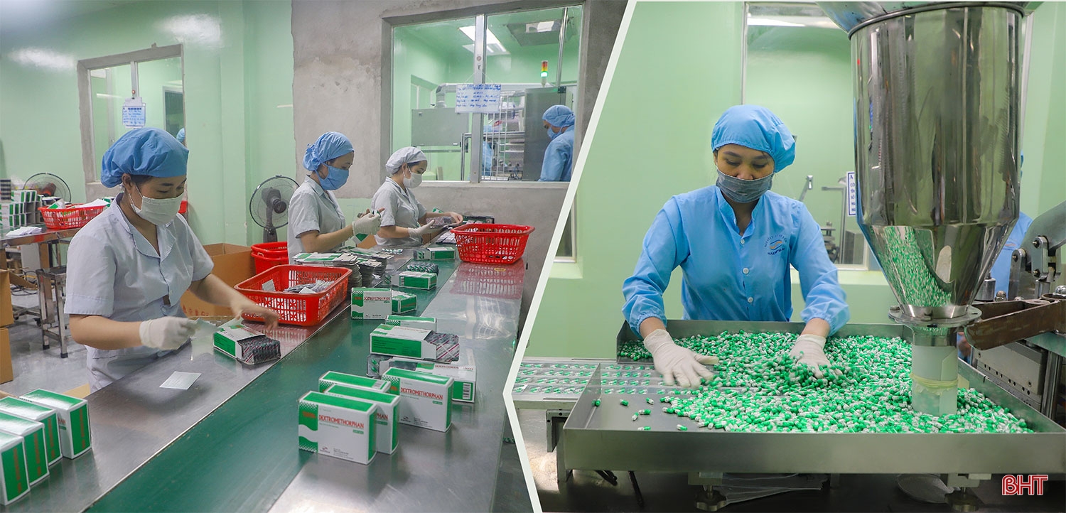 Doanh nghiệp Hà Tĩnh vượt qua thử thách, chinh phục mục tiêu mới ảnh 8 Doanh nghiệp Hà Tĩnh vượt qua thử thách, chinh phục mục tiêu mới