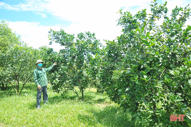 Tiếp nối truyền thống cách mạng trên vùng đất Hương Khê