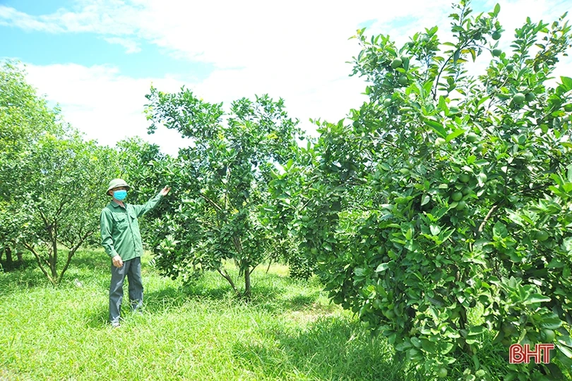 Tiếp nối truyền thống cách mạng trên vùng đất Hương Khê