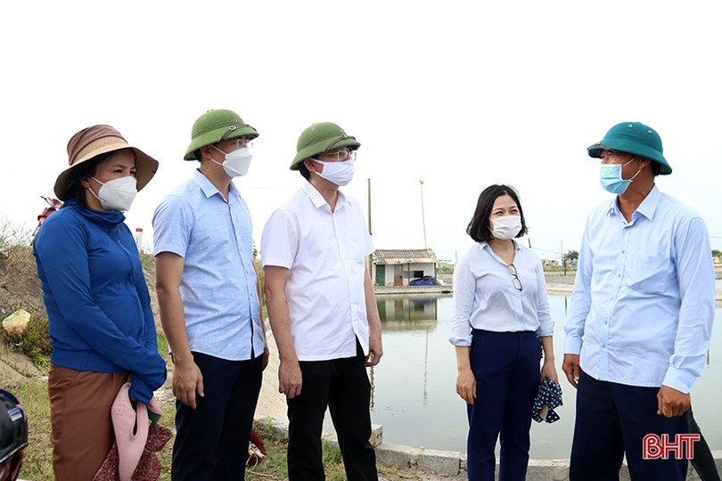 Nhân rộng các mô hình kinh tế vườn hộ gắn với chính sách ưu đãi phù hợp ở TX Kỳ Anh