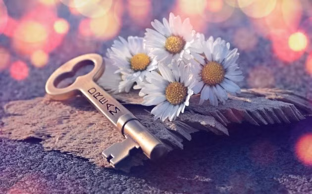 Vì sao chìa khóa của hạnh phúc lại nằm ở việc cho đi chứ không phải nhận về? 