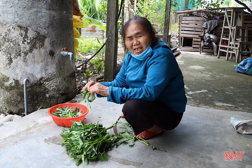 Chị Thanh khiếm thị, “giàu” nghị lực sống