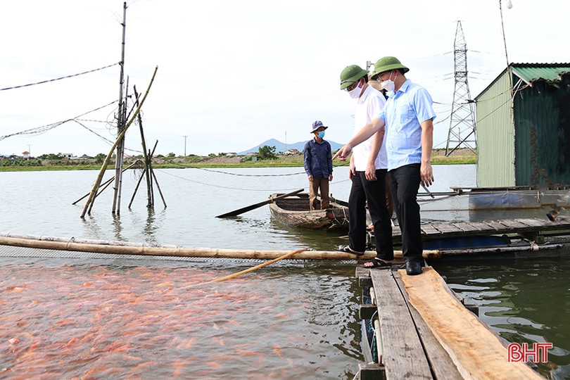 Nhân rộng các mô hình kinh tế vườn hộ gắn với chính sách ưu đãi phù hợp ở TX Kỳ Anh