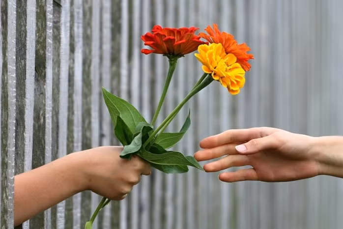 Vì sao chìa khóa của hạnh phúc lại nằm ở việc cho đi chứ không phải nhận về? 