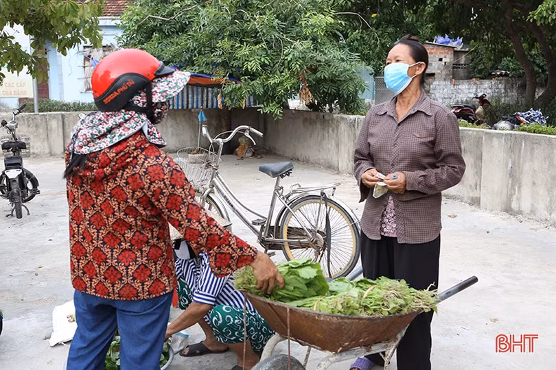 Bỏ nghề phụ hồ, đầu tư làm vườn mẫu xanh tốt quanh năm