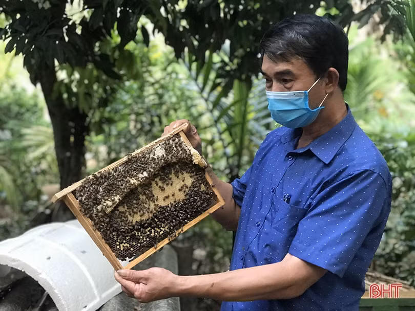 Hành trình xây dựng thương hiệu mật ong Hương Sơn ở Hà Tĩnh