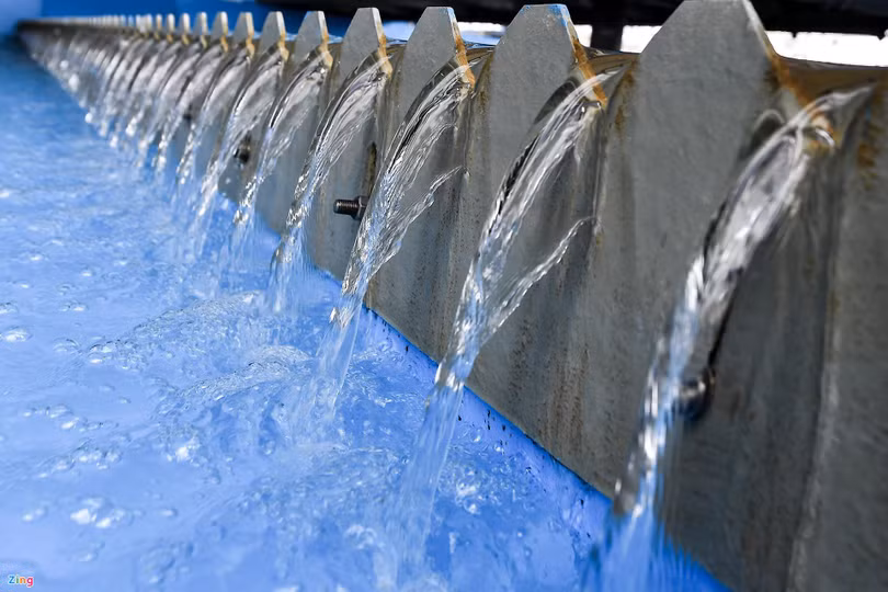 Chính sách hiệu lực từ tháng 8: Hộ chiếu gắn chip, bỏ nhiều chứng chỉ