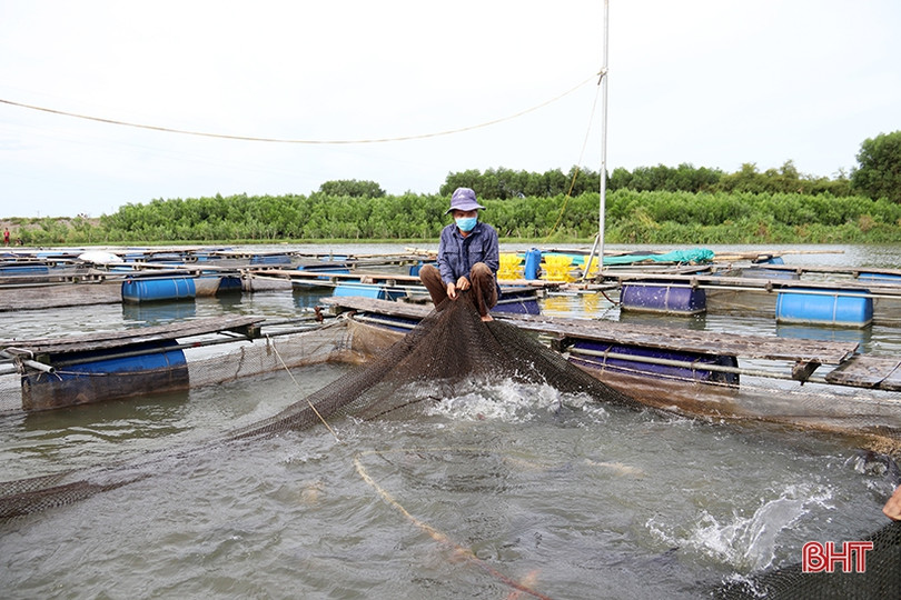 Nhân rộng các mô hình kinh tế vườn hộ gắn với chính sách ưu đãi phù hợp ở TX Kỳ Anh