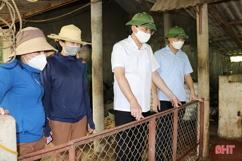 Nhân rộng các mô hình kinh tế vườn hộ gắn với chính sách ưu đãi phù hợp ở TX Kỳ Anh
