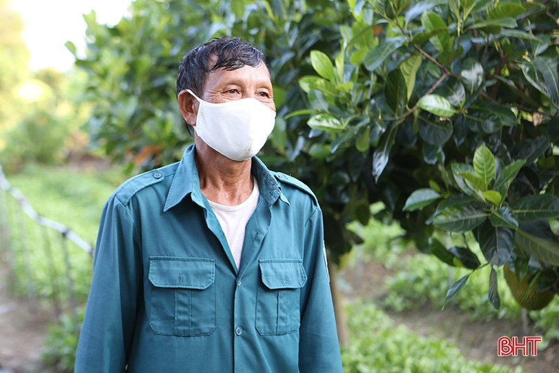 Bỏ nghề phụ hồ, đầu tư làm vườn mẫu xanh tốt quanh năm