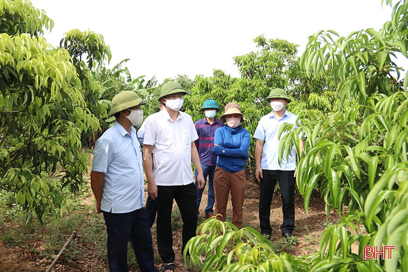 Nhân rộng các mô hình kinh tế vườn hộ gắn với chính sách ưu đãi phù hợp ở TX Kỳ Anh
