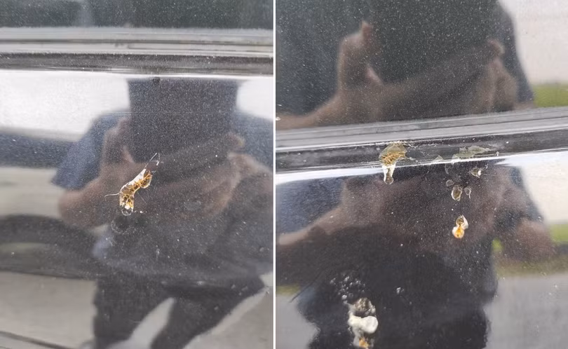 5 sai lầm khiến ô tô dễ bị hư hỏng khi đỗ lâu một chỗ