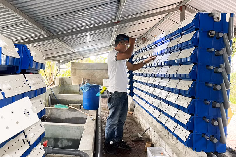 Thu nhập tiền tỷ nhờ dám nghĩ, dám làm