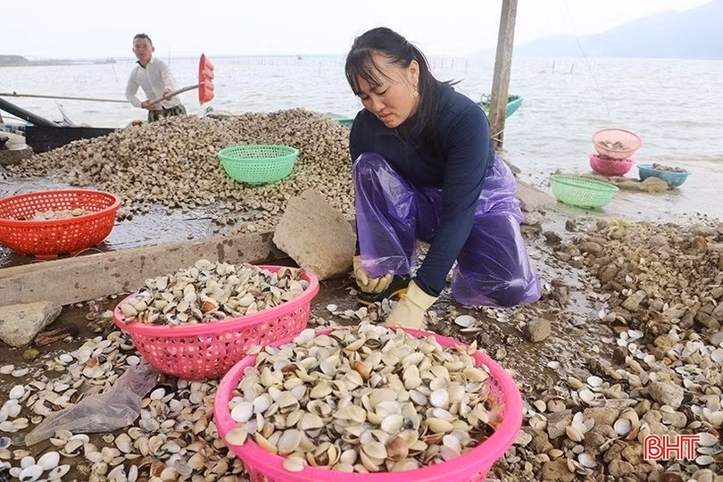 Dư nợ tín dụng nông nghiệp, nông thôn đạt khoảng 44.500 tỷ đồng