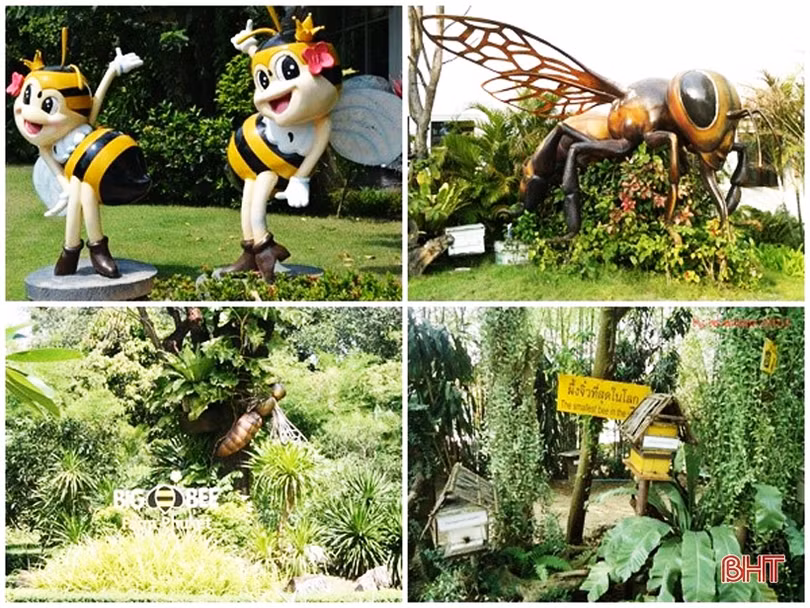 TP Hà Tĩnh mở rộng hợp tác với Thái Lan về phát triển kinh tế đô thị