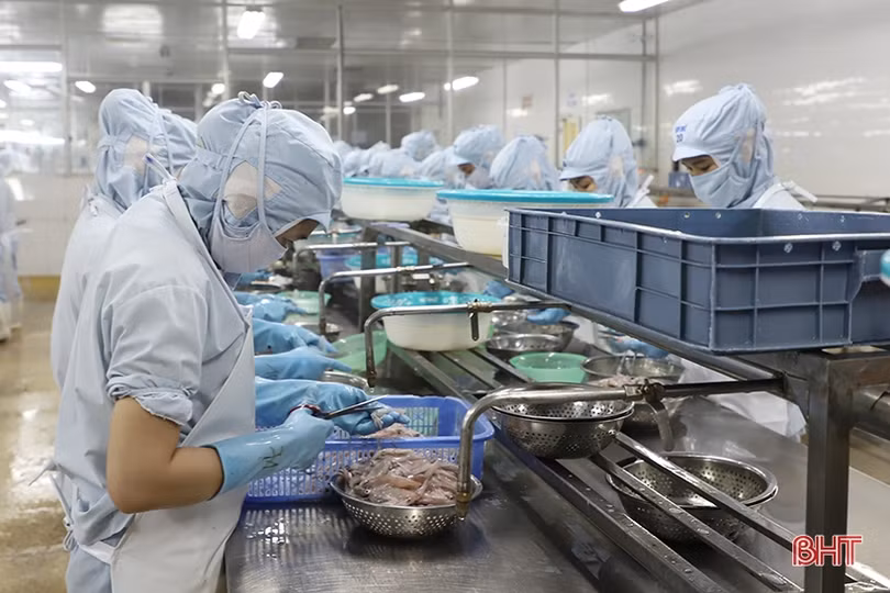 Công nghiệp Hà Tĩnh kỳ vọng tăng trưởng từ ngành chế biến, chế tạo