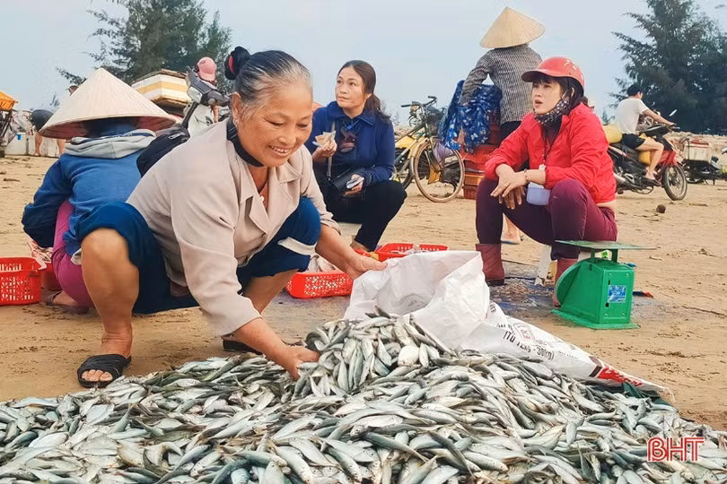 Hải sản đầu mùa du lịch tăng giá, ngư dân Hà Tĩnh phấn khởi vươn khơi