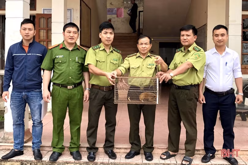 Bàn giao động vật hoang dã về Vườn quốc gia Vũ Quang