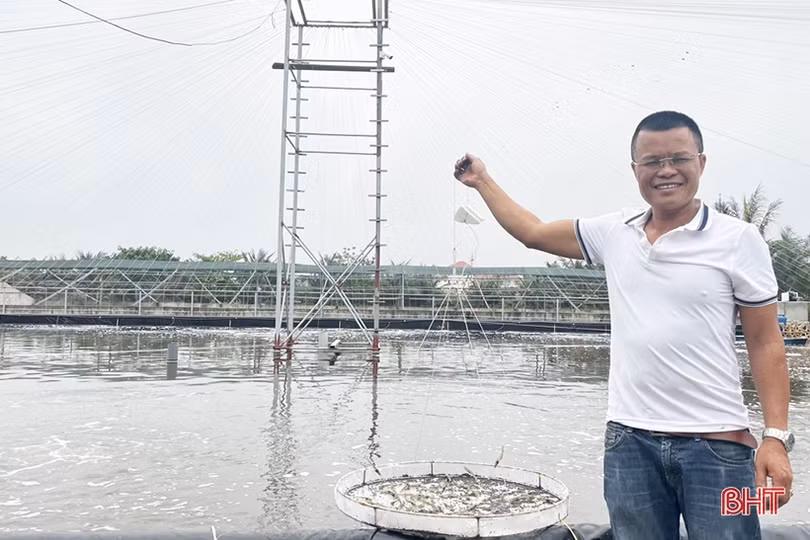 Thu nhập tiền tỷ nhờ dám nghĩ, dám làm