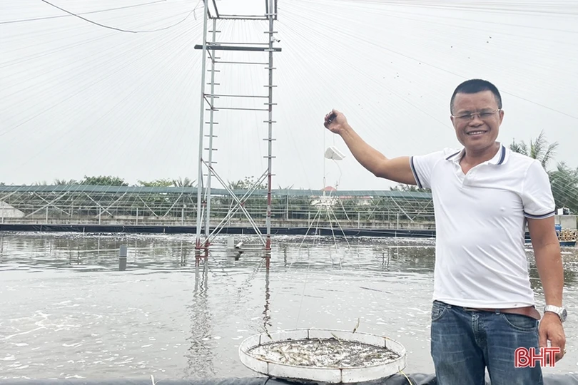 Thu nhập tiền tỷ nhờ dám nghĩ, dám làm