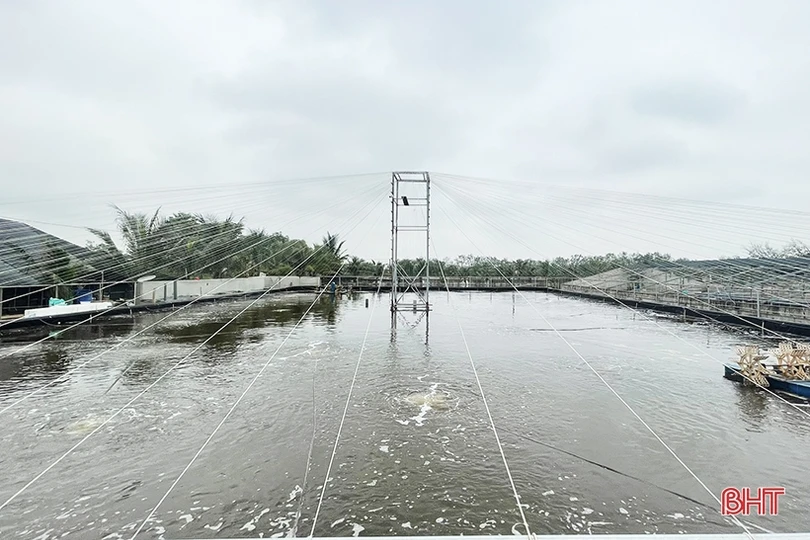 Thu nhập tiền tỷ nhờ dám nghĩ, dám làm