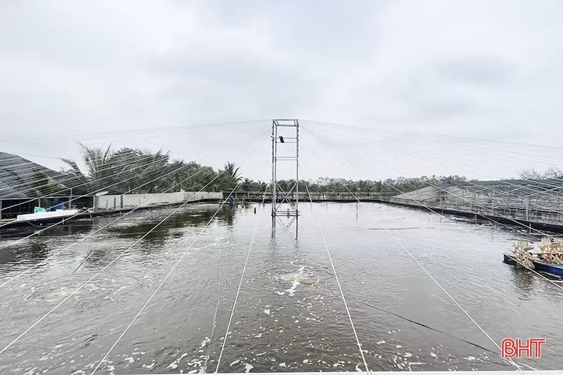 Thu nhập tiền tỷ nhờ dám nghĩ, dám làm