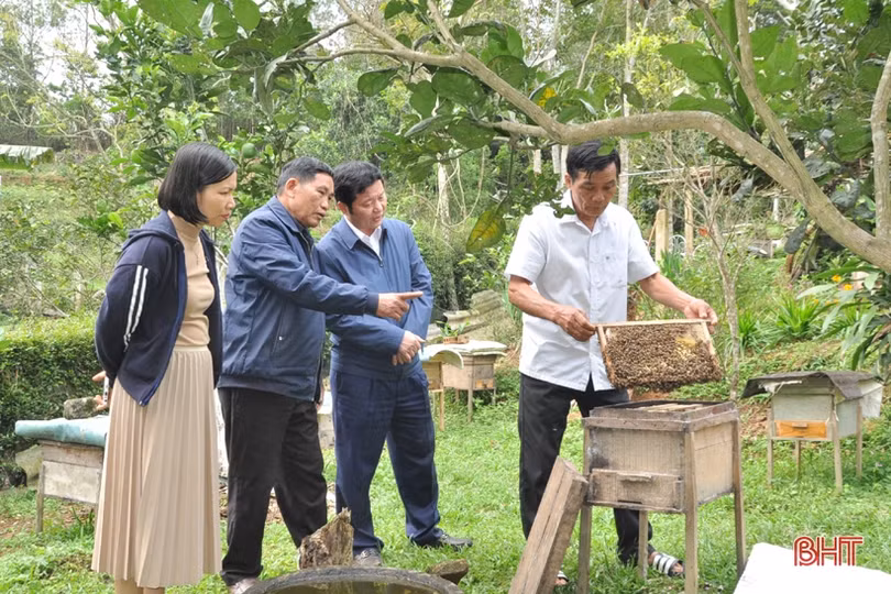 Hợp tác xã ở Hà Tĩnh chủ động đổi mới, sẵn sàng gia nhập “sân chơi lớn”