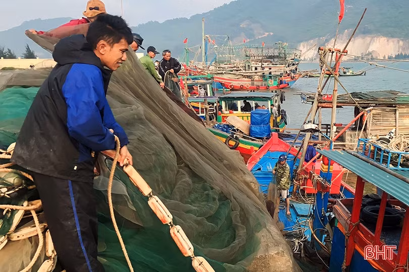 Hải sản đầu mùa du lịch tăng giá, ngư dân Hà Tĩnh phấn khởi vươn khơi