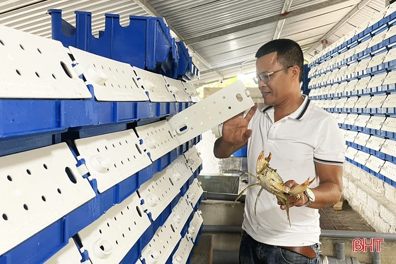 Thu nhập tiền tỷ nhờ dám nghĩ, dám làm