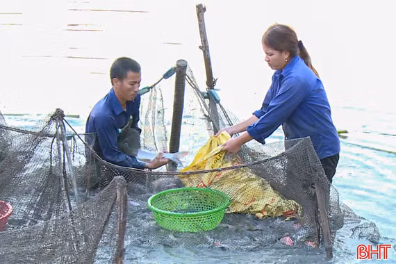 Nông dân Can Lộc làm giàu từ nuôi trồng thủy sản nước ngọt