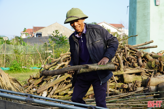 Khi củi khô lên đời thành hàng Tết